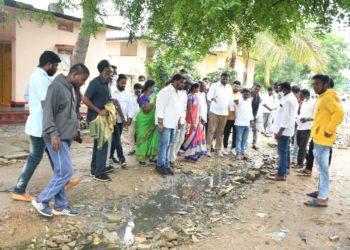 తాండూరును సమస్యలు లేని నియోజకవర్గంగా తీర్చిదిద్దుతా