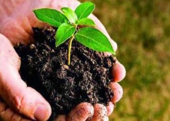 పోలీసు శాఖ ఆధ్వర్యంలో పెద్ద ఎత్తున మొక్కలు నాటాలి