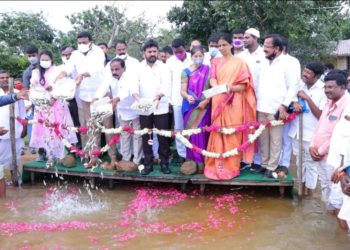 నీలి విప్లవం దిశగా అడుగులు