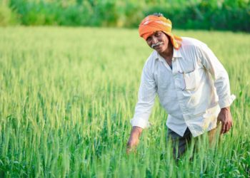 రైతు ఉత్పత్తిదారుల సంఘంతో అన్నదాతలకు మేలు